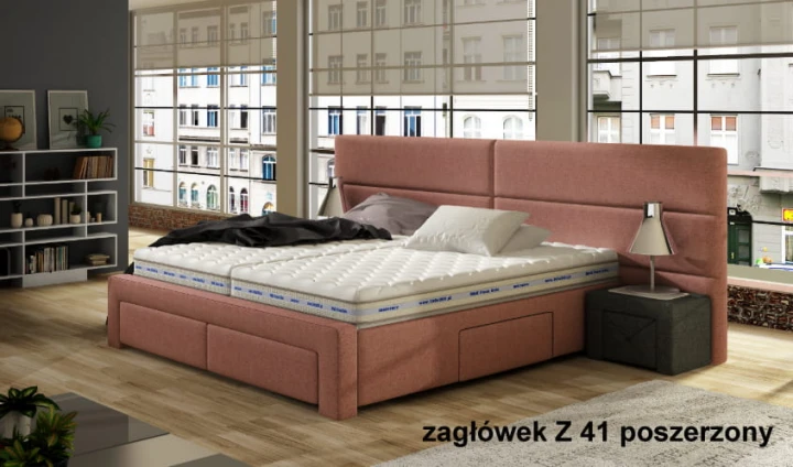 z 41.s..jpg