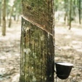 m.talalay_materace (a).jpg