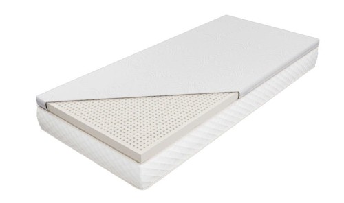 Orchila-EXC-Standard-L_n.jpg