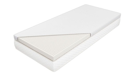 Orchila-EXC-Max-L.jpg