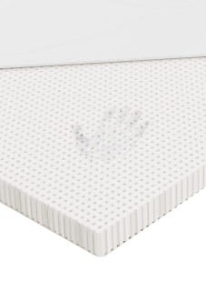 Orchila-EXC-Standard-E_a.jpg