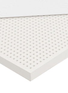 Orchila-EXC-Standard-L_a.jpg