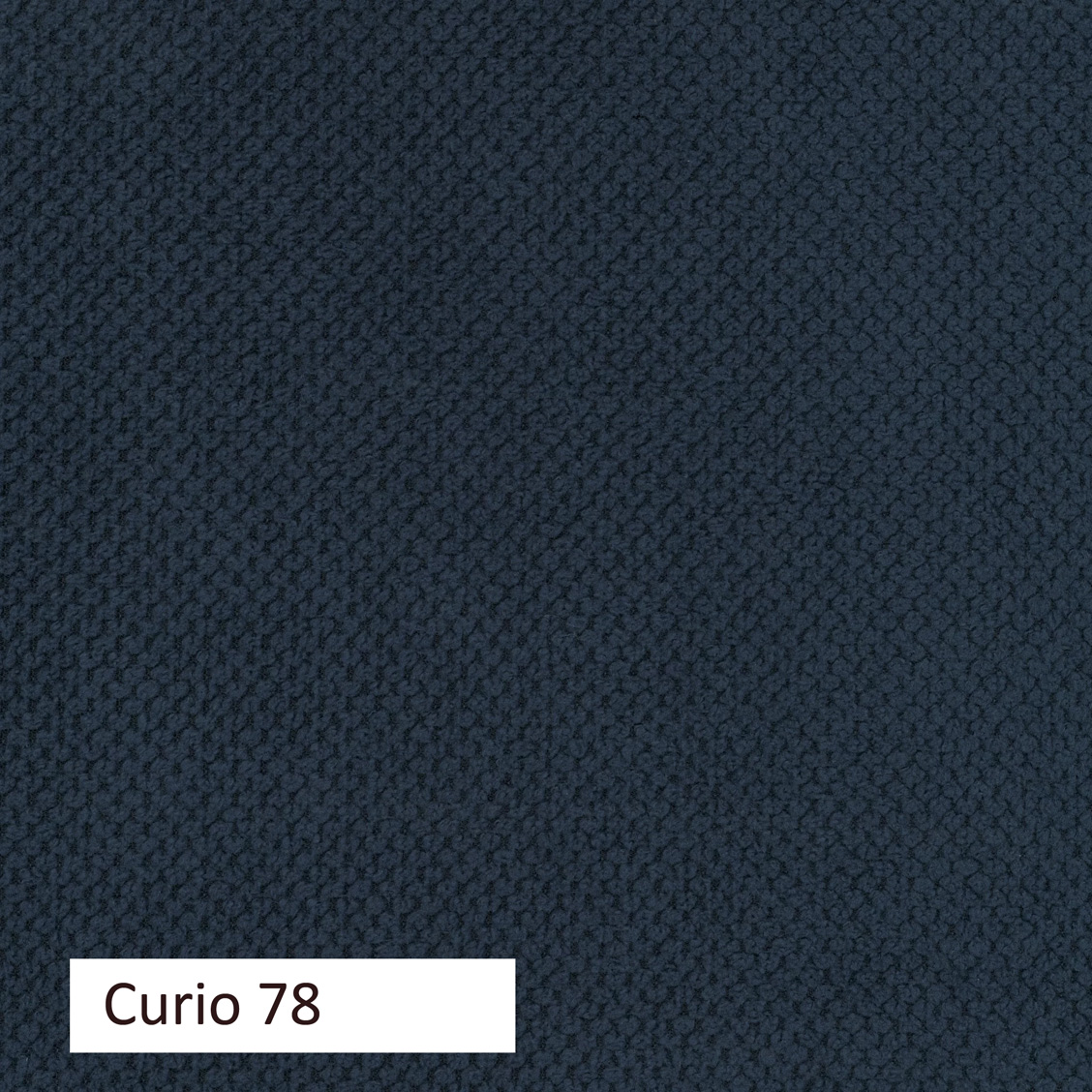 CURIO 83